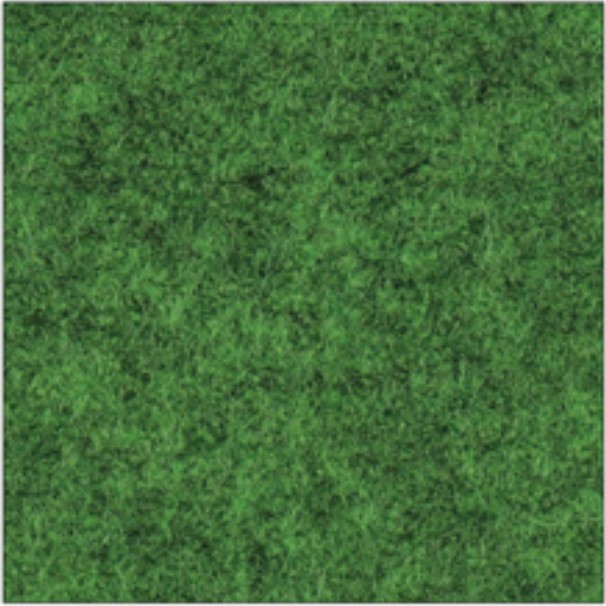 Focus_col_68246.jpg